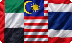 Asia & Middle East Residency Programs